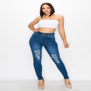Denim Zone High Rise Distressed Skinny Jeans